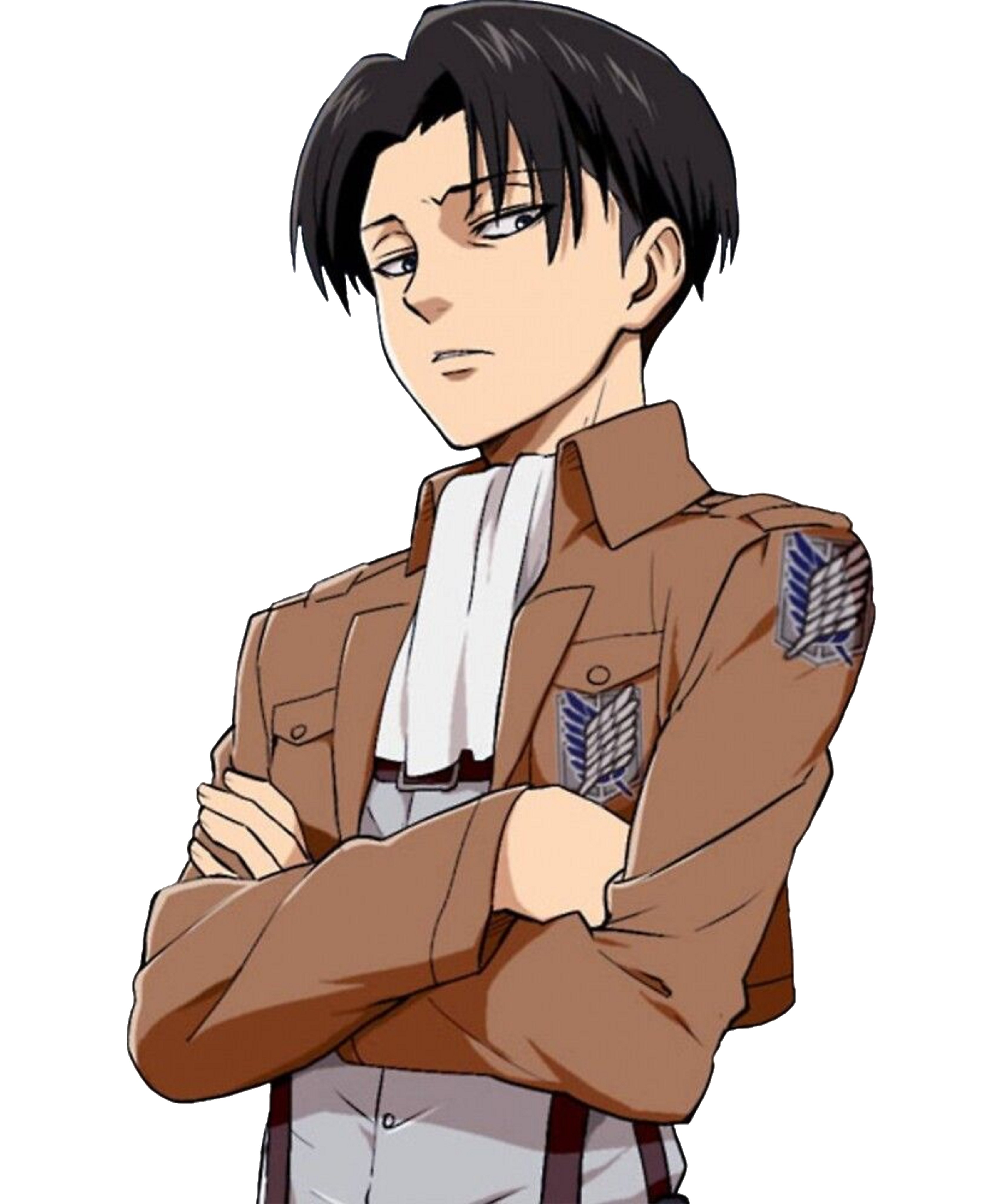 levi tw