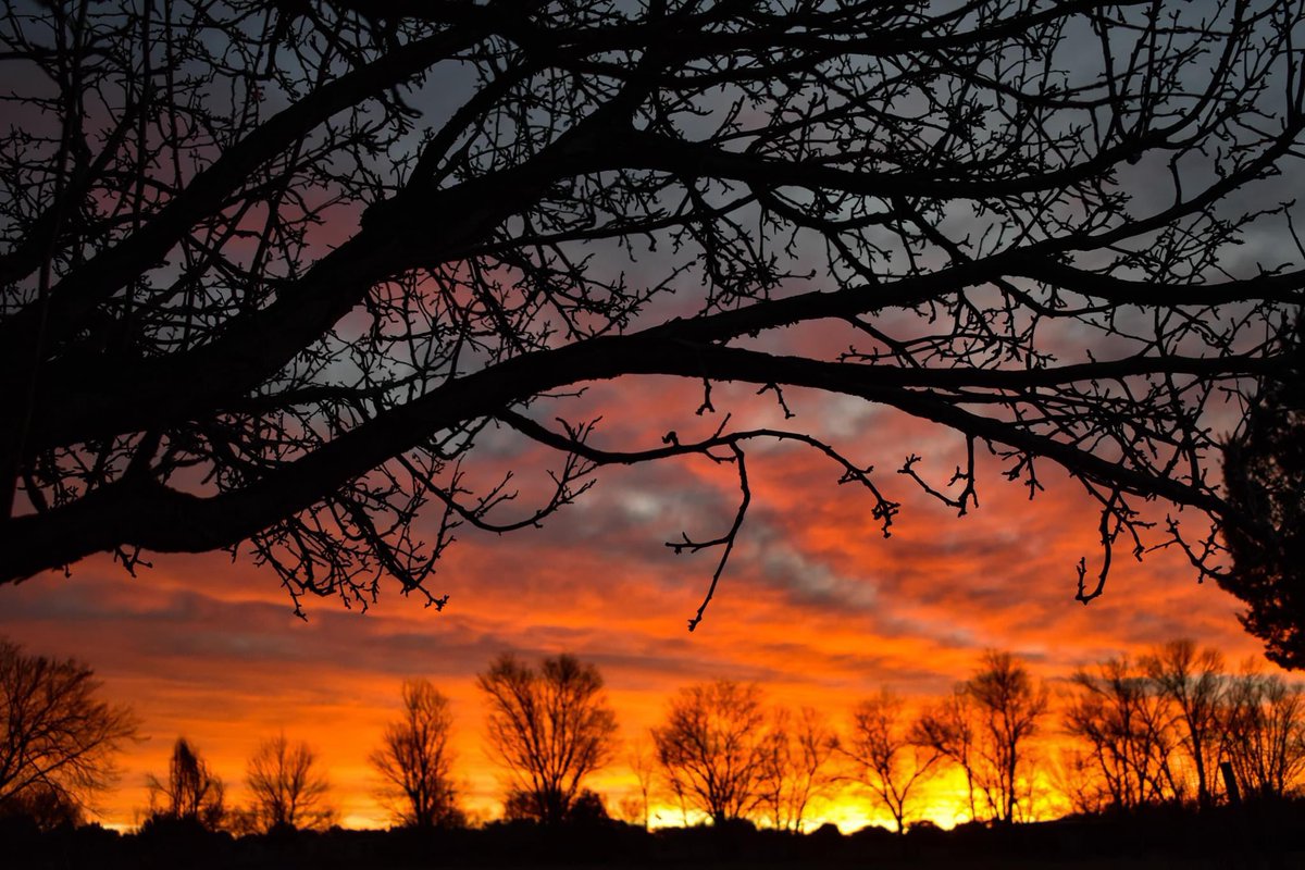 TerenzioMario's tweet photo. Good Morning United! Colorado Sky Painting! @JRoo1421 https://t.co/4zxUOMBhxZ