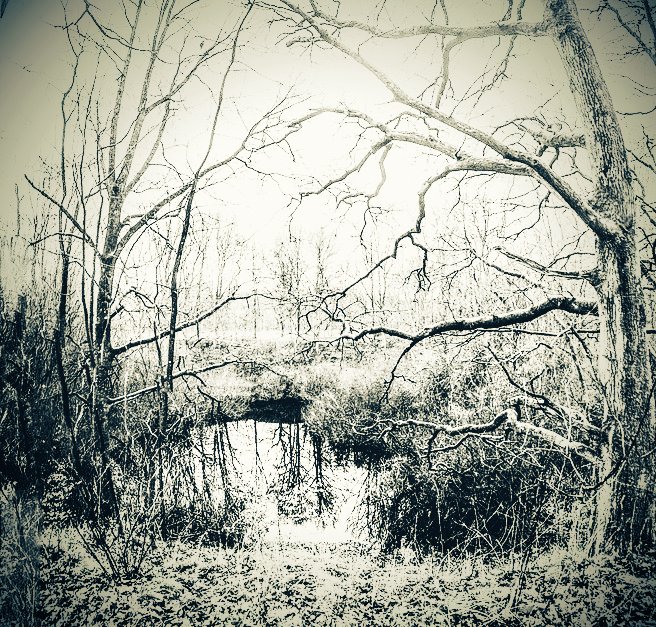 Mary_Shelley's tweet photo. That pond, yes, it's well to stay away. Clear as a bell, the voices. From under the water. You don't want to hear them say your name. Best just stay away and don't give them the chance. It's like they smell you. 
Alf Dunnock
 #Hookland Rural History Project
#HRHP
@HooklandGuide https://t.co/yWscmpI21z