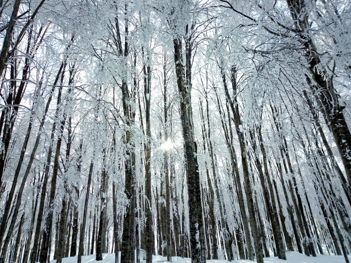 Una #bellissimagiornata per una #bellissima #Vetta #Amiata carica di bianco❣️ <a href="/Amiatavideo/">Amiata Video e Foto</a> <a href="/amiataneve/">AmiataNeve</a> <a href="/Maremmagica/">MaremMagica</a> <a href="/QuiMaremma/">Qui Maremma Toscana</a> <a href="/LeMacinaie/">Albergo Le Macinaie</a> <a href="/IgersMaremma/">IgersMaremma</a> <a href="/instagram/">Instagram</a> <a href="/IgersGrosseto/">Igers Grosseto</a> <a href="/IgersToscana/">Igers TOSCANA</a> #GoodVibes #respirare #natura #crederci