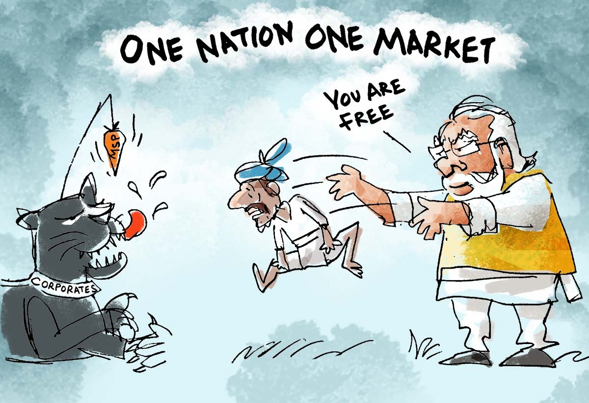 Dipankar tweet media