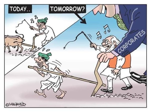 Dipankar tweet media