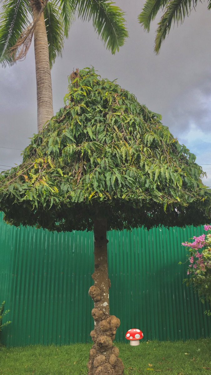 ชอบคนมองเราขาด อ่านเราออก 
รู้ว่าต้องทำยังใงถึงเราจะอ่อนลง
โคตรแพ้ แต่หายาก 🤍🥀.