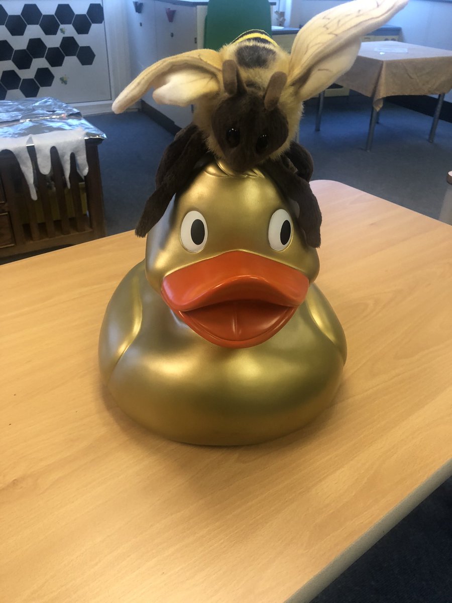 Golden Duck tweet media