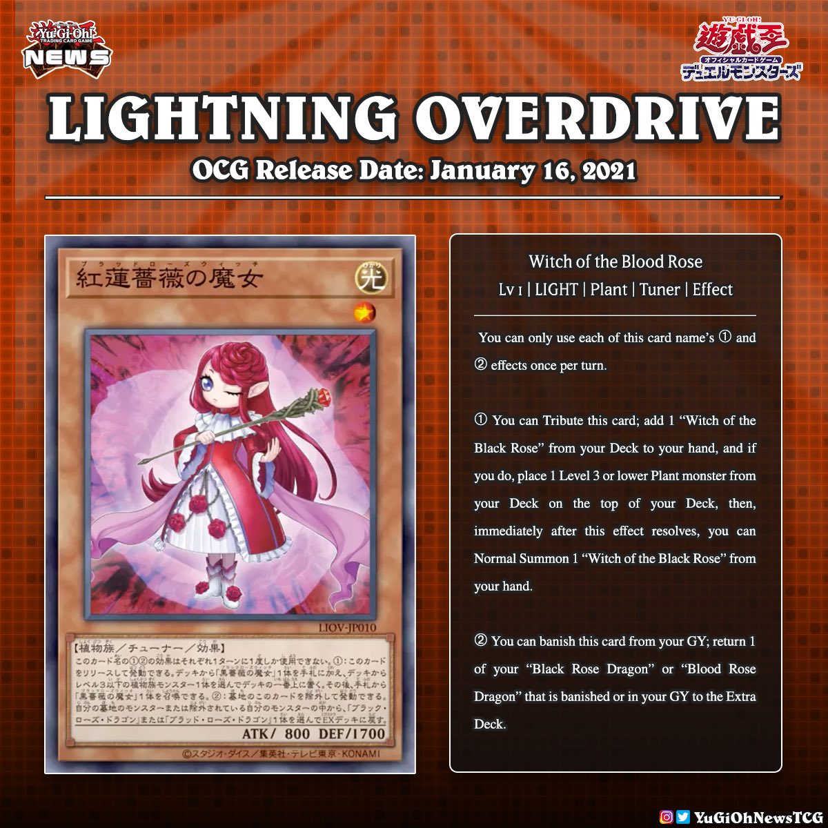yugioh nekroz deck profile Amazon.com: Complete Custom Deck for Yu-Gi-Oh! 5D's main image 1