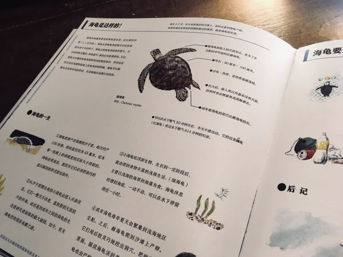 絵本の後ろの方にはウミガメの生態解説や出てきた生き物図鑑、更に余った見返しスペースに描き足りないウミガメのことを殴り書きしていた手書き文字も全て翻訳掲載してくれてありがたや。初めて読んだときには分からなくても、大きくなって書いてあることに気づいて興味が深掘りされますよう。 