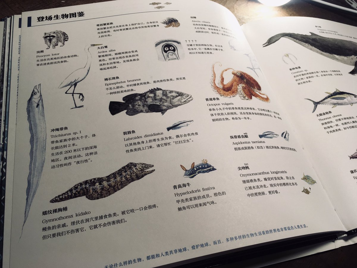 絵本の後ろの方にはウミガメの生態解説や出てきた生き物図鑑、更に余った見返しスペースに描き足りないウミガメのことを殴り書きしていた手書き文字も全て翻訳掲載してくれてありがたや。初めて読んだときには分からなくても、大きくなって書いてあることに気づいて興味が深掘りされますよう。 
