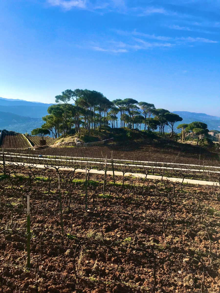 AZKARKOUR's tweet photo. #Cycling #Lebanese mountains to #Mrouj and #Mtein through #Roumieh, #Broumana, #MarChaaya, #MarMoussa, #Douwar and #MarMkhayel Bnab; this is what #Lebanon’s January Spring looks like; #MarVelous Lebanon https://t.co/T15axIOzie