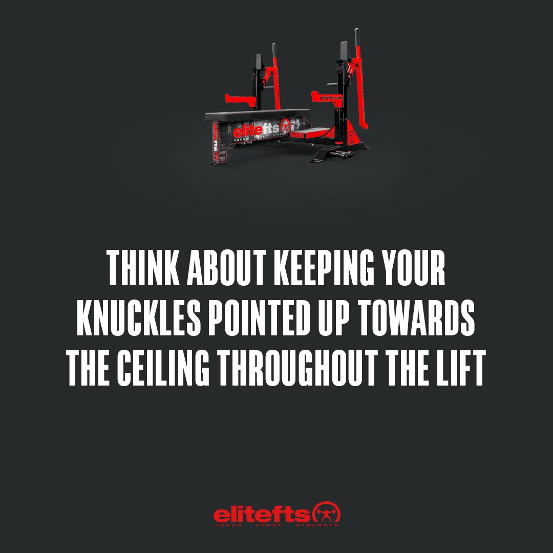 elitefts's tweet photo. Training Tip of the Day!
#elitefts #benchpress #benchtips #benchday https://t.co/IMKInSgl8n