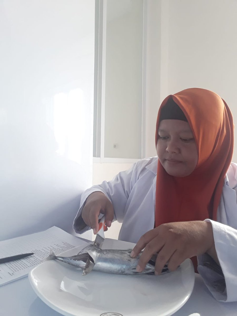 09/01. 6  Petugas Laboratorium BKIPM Mamuju Melakukan Pemeriksaan Organoleptik Pada Media Pembawa yang dilalulintaskan melalui Pelabuhan Ferry Simboro Mamuju
#KKPRebound
#OneHealthKIPM 
@HumasBKIPM
<a href="/abdurrohman321/">abdurrohman32</a>