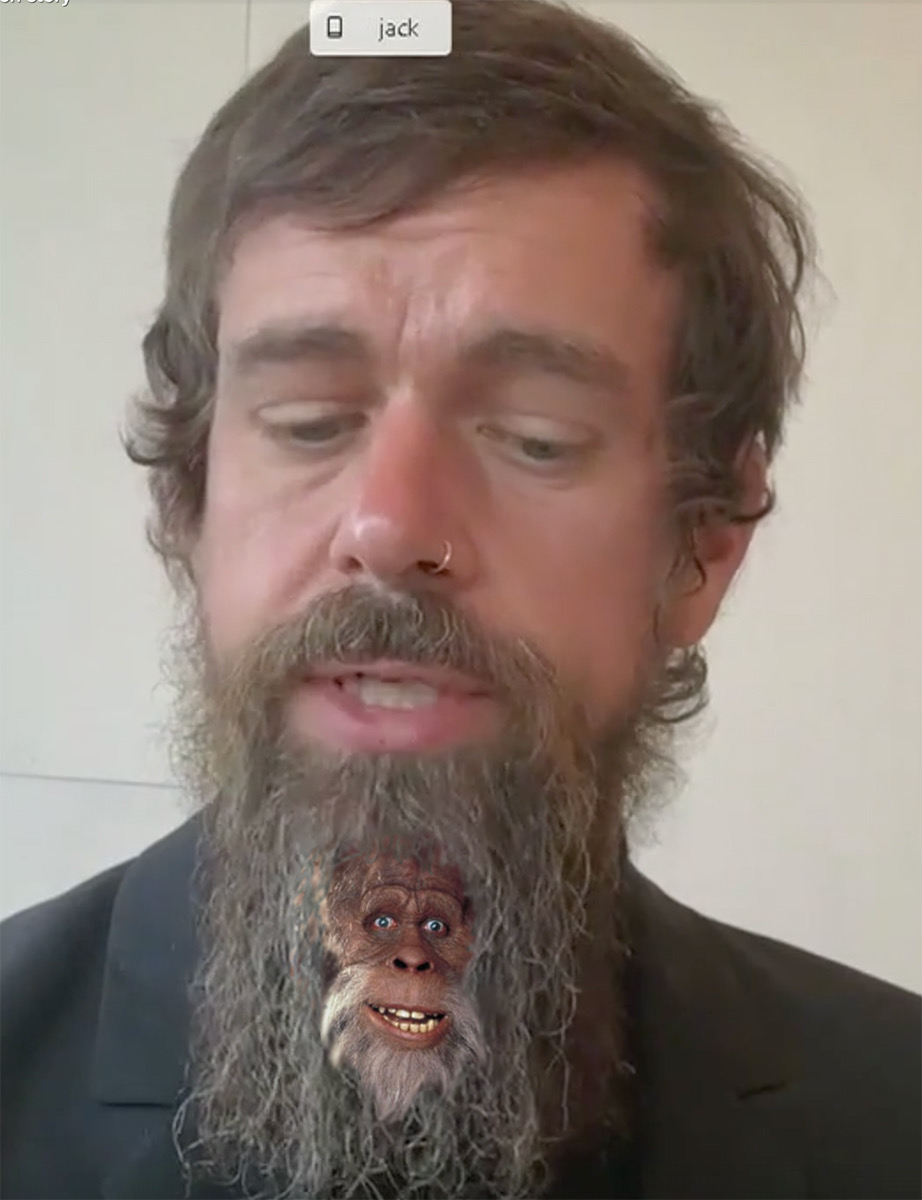 Catturd ™ (@catturd2) on Twitter photo 