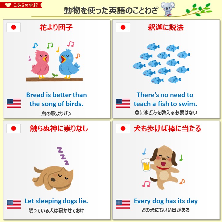 こあたん こあらの学校 Twitterren 動物を使った英語のことわざ T Co 3q2ms0pqt1 Twitter