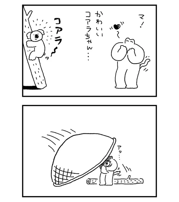 コアラ〜ッ 