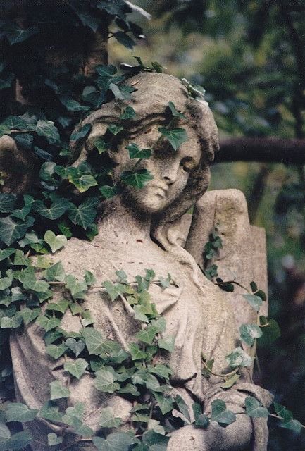 ᵀ ᴾ ♡ (rest’til i’m back) tweet media