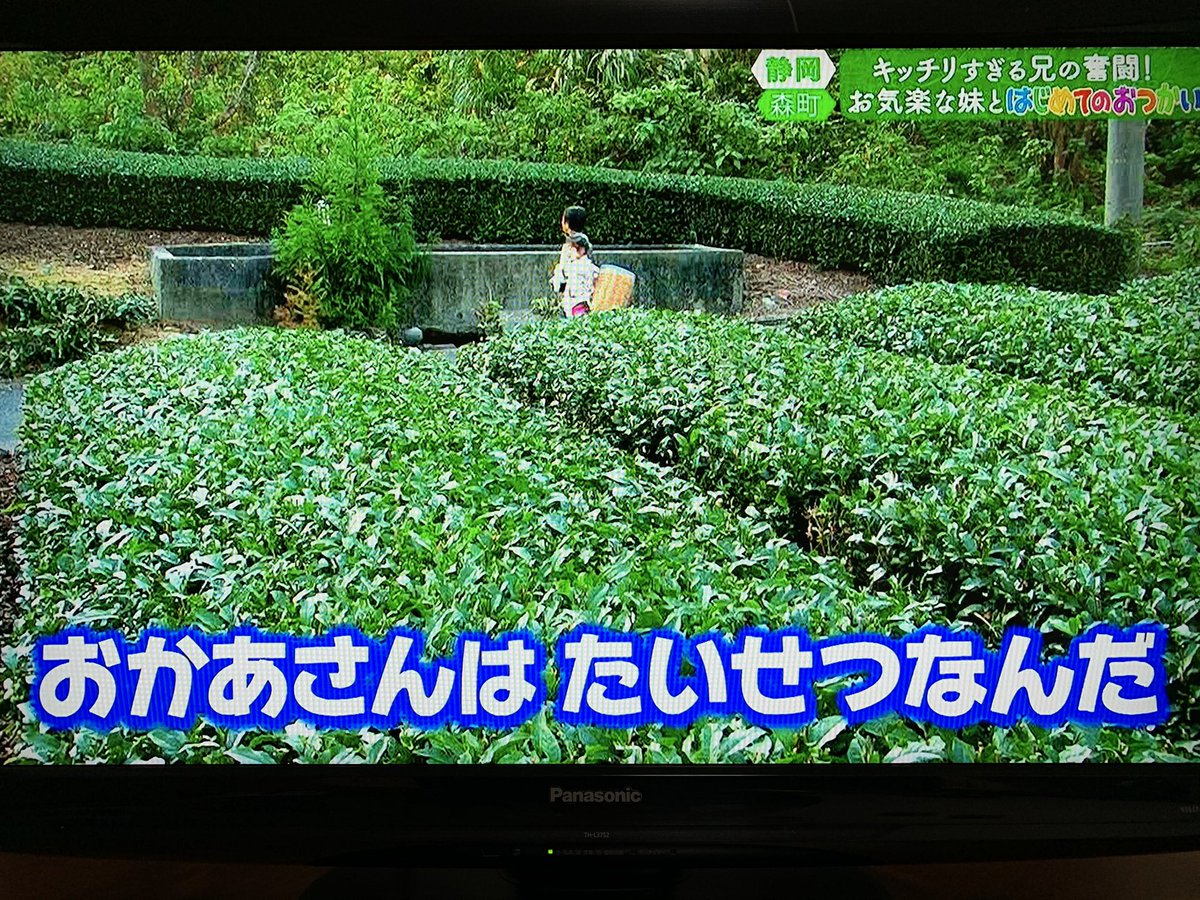 はじめてのおつかい Hotワード