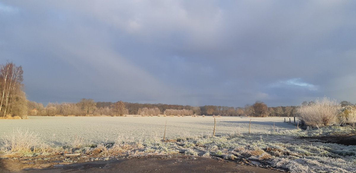 Wanneer het vee lekker warm binnen staat, de boer een extra trui aantrekt onder de overall en buiten, buiten is het elke dag weer bijzonder..
#landscape #farming #nofilterneeded #WhatADay #frozenlandscapes
