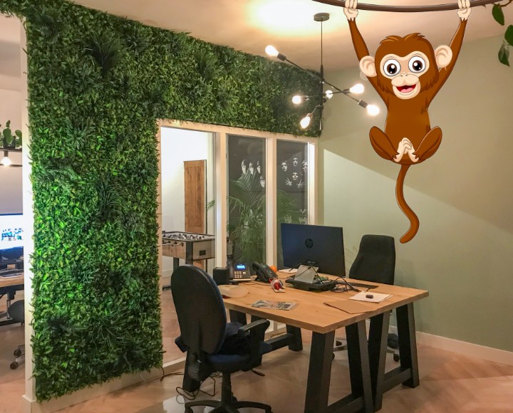 KunsthaagEU's tweet photo. Een aantal jungle Wandmatten afgeleverd bij @lassooydesign.

Groen draagt bij aan een positieve en ontspannende sfeer.💃

Doe met met de Kunsthaag Wandmat ☘️☘️ https://t.co/U3fZtq2VFc