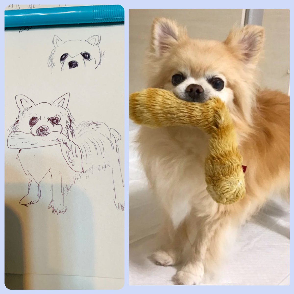 KoDidIt!!! tweet media