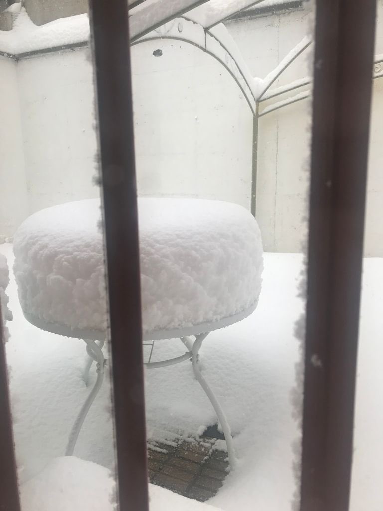 littlepikinia's tweet photo. Instagram me pone hoy publicidad de aparatos para hacer cubitos de hielo. Cubitos de hielo. HOY. #timingperfecto https://t.co/TMzG6lAgsC