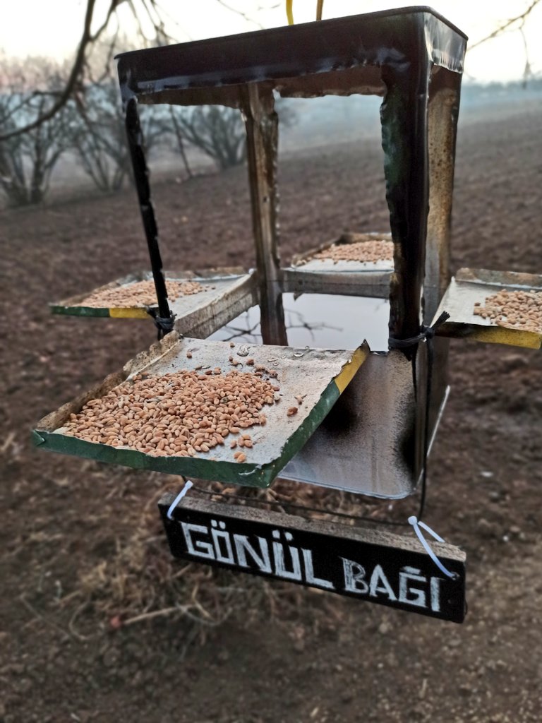WEMPISCO's tweet photo. Bizde bir hafta boş durmadık tabiki, icat peşindeydik 🥰💜🔨✂️
#gonuldagi @gonuldagitrt #gonulbagi @trt1 https://t.co/9HWDxEFNKD