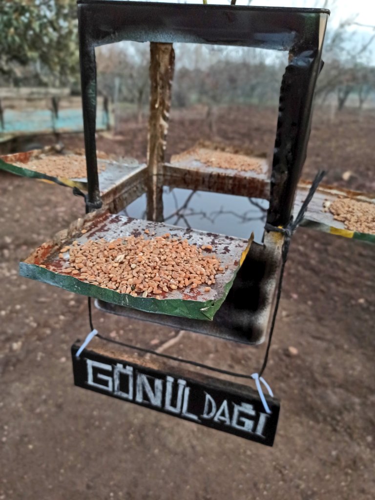 WEMPISCO's tweet photo. Bizde bir hafta boş durmadık tabiki, icat peşindeydik 🥰💜🔨✂️
#gonuldagi @gonuldagitrt #gonulbagi @trt1 https://t.co/9HWDxEFNKD