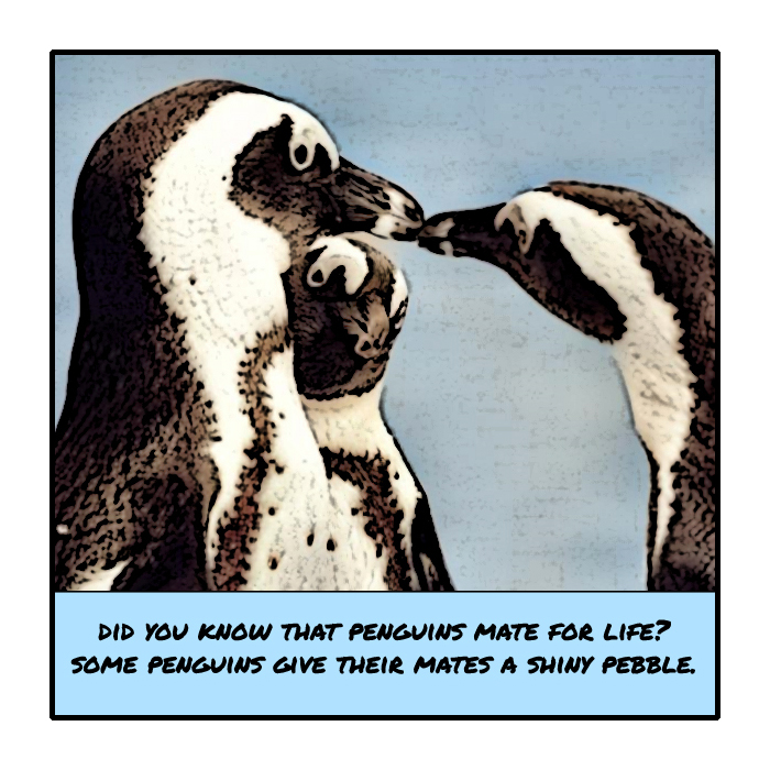 AnnetteDawm's tweet photo. #NewEpisode of #OverheardThings: #Penguins This month's Saturday comics will be about birds. https://t.co/SNLrVDXLLC
#LdnOnt https://t.co/27Jca05QJa