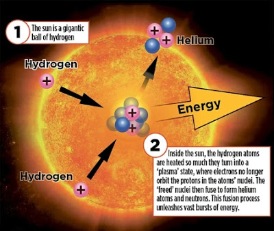 *Plants need sunlight to grow while animals and humans need plants for food as well as oxygen produced by plants through photosynthesis. *Sunlight also boosts the humans vitamin D. *Without sunlight there is no photosynthesis and humans would freeze.