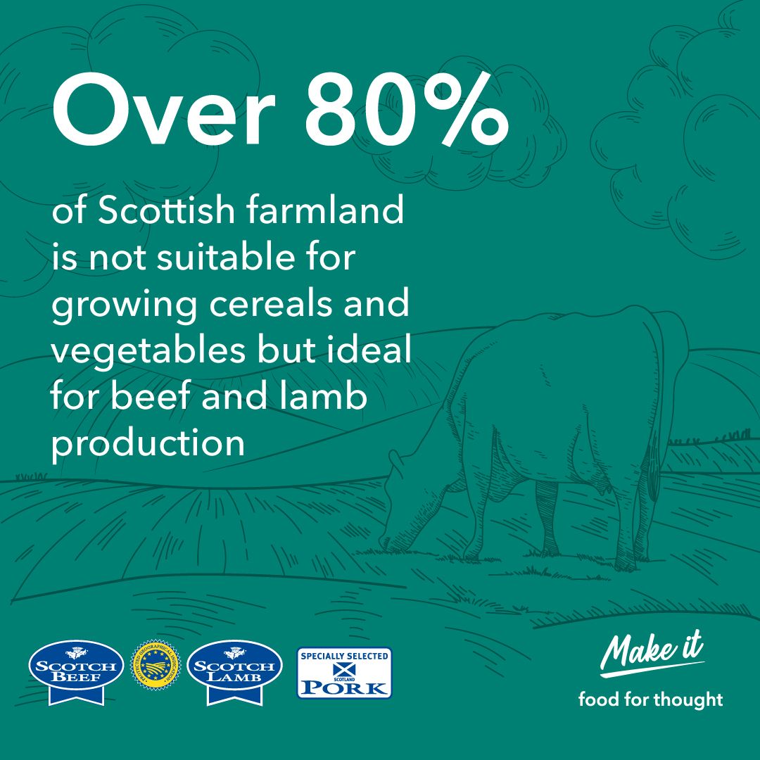 qmscotland's tweet image. We care about the sustainability of our industry here at QMS. Find out all about how Scottish farmers and suppliers are supporting sustainability: qmscotland.co.uk/healthy-eating… #sustainablefarming #qmscotland #scotchmeat