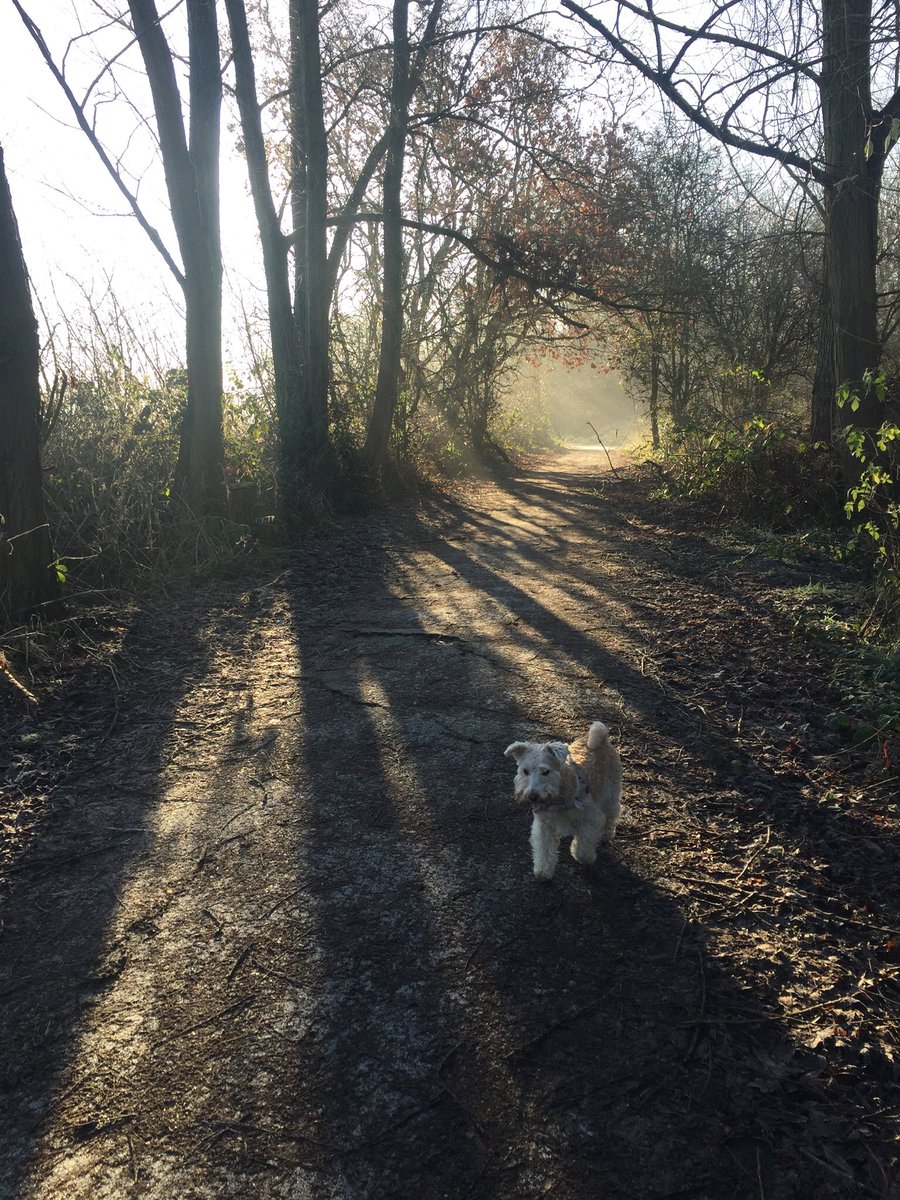 Beautiful this January morning!