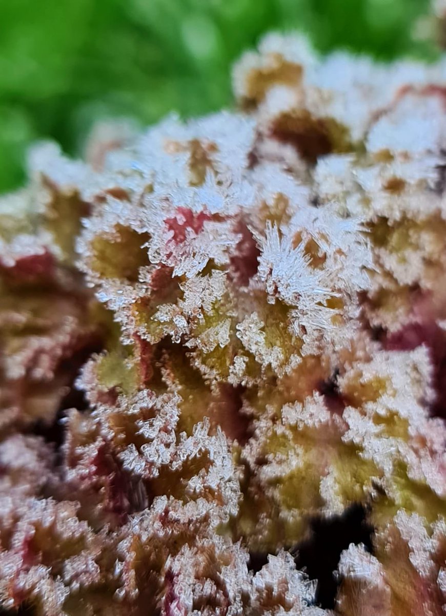 Neil Alcock tweet media