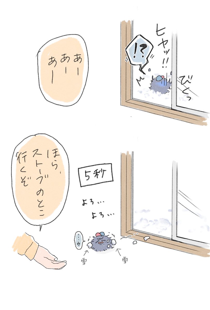 じろ毛玉とはじめての雪⛄️ 