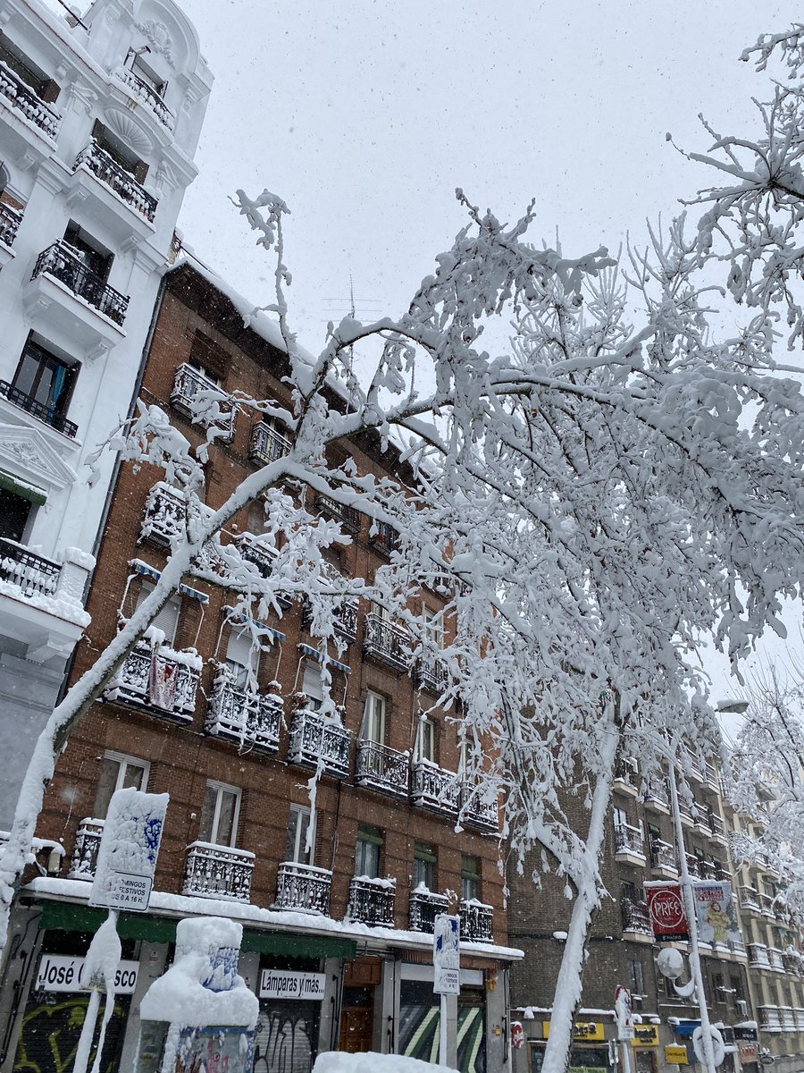 celiaddiez's tweet photo. Madrid con Filo ❄️ 🥶 https://t.co/wuKYDX5gSd