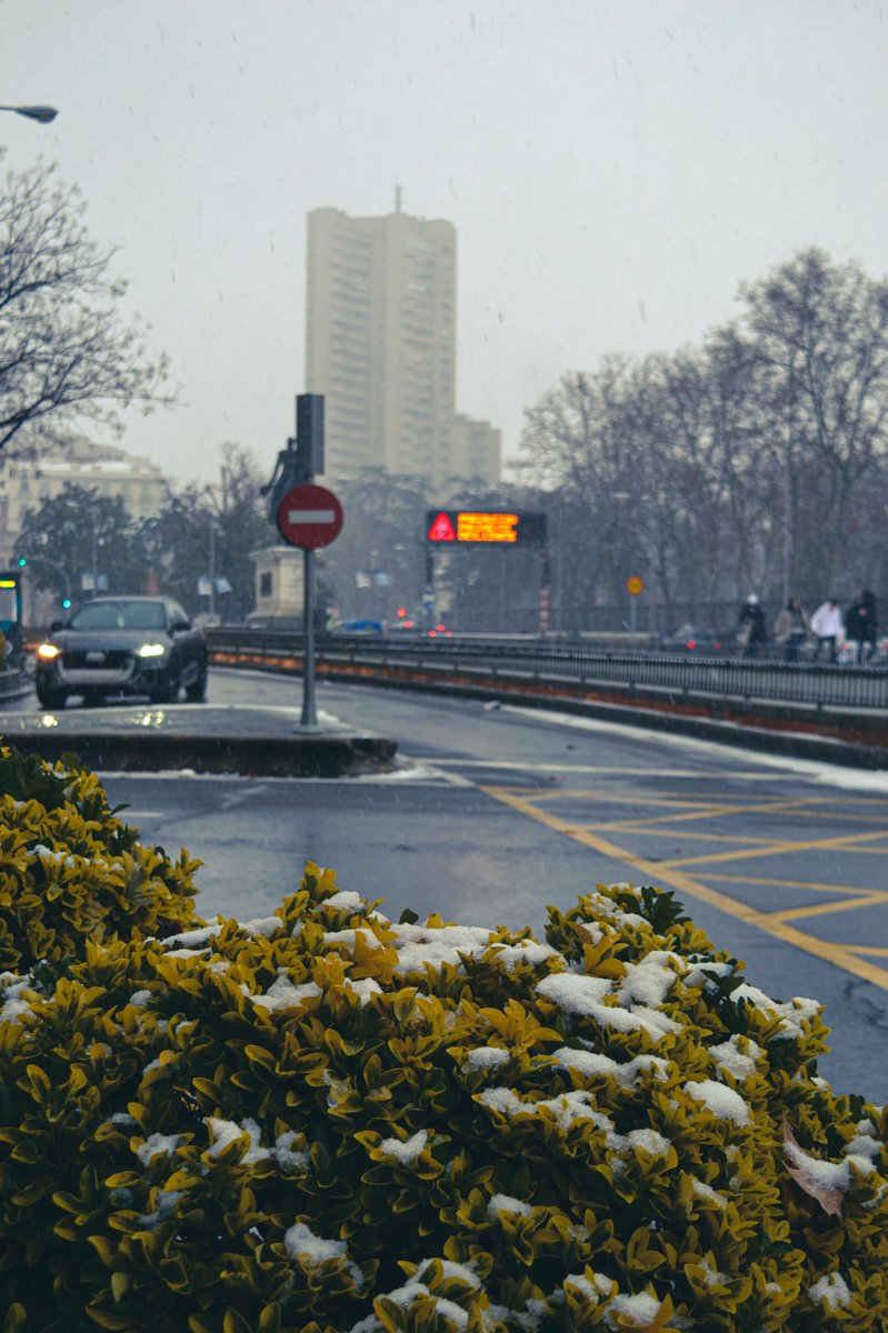 celiaddiez's tweet photo. Madrid con Filo ❄️ 🥶 https://t.co/wuKYDX5gSd