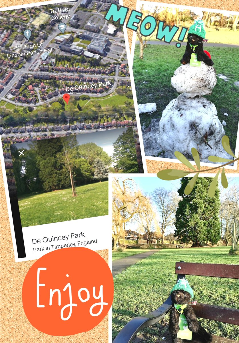#Caturday It's a lovely morning in Cheshire and today's walk was in pretty De-Quincey Park just off Manchester Road in Timperley. Try and get some fresh air and exercise once a day during #lockdownuk and above all #StaySafe 💚 Our online shop is still open. Link in Bio 👩🏽‍💻🛍️