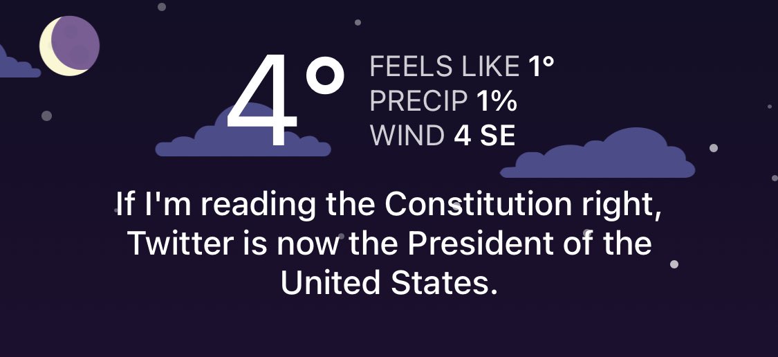 rosenrot9's tweet photo. 🤣 i love this app!!! #carrot #twitterforpresident https://t.co/kyFQLO2vdO
