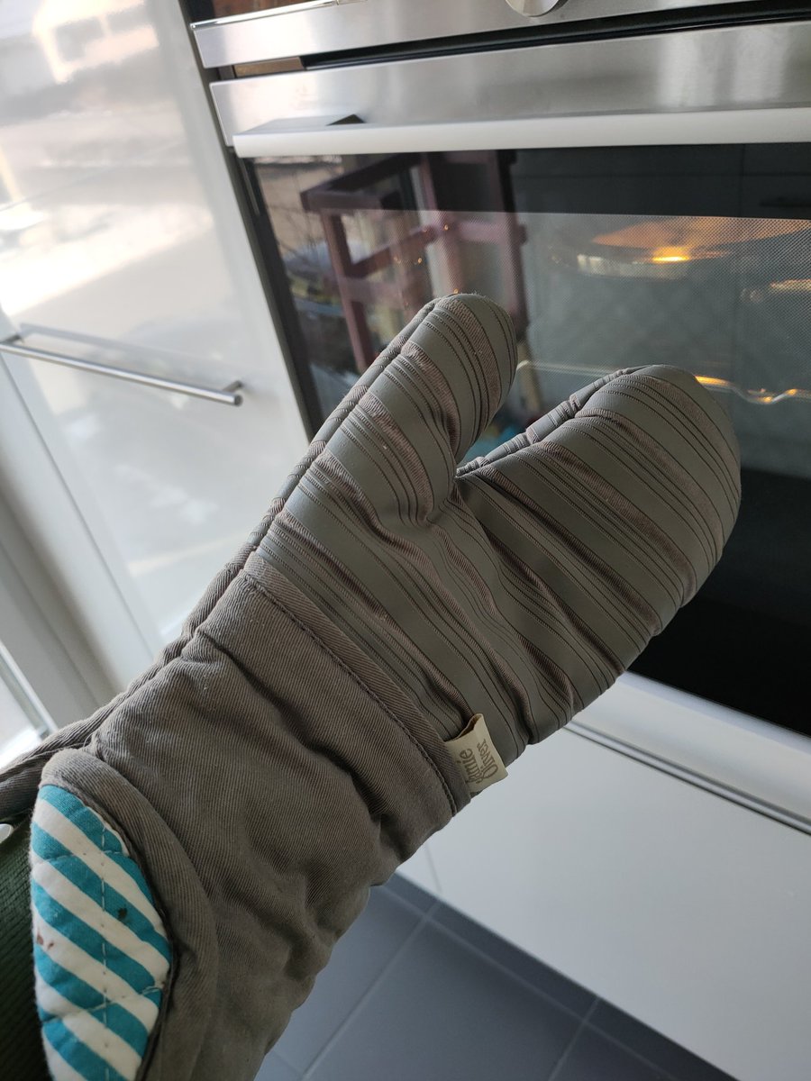 Immer diese Angst, dass ein Falke auf meine Hand landet sobald ich den Backhandschuh überziehe...