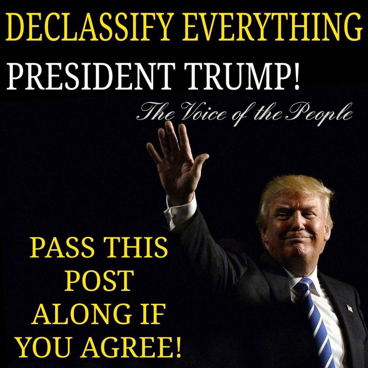 Laura Rode tweet media