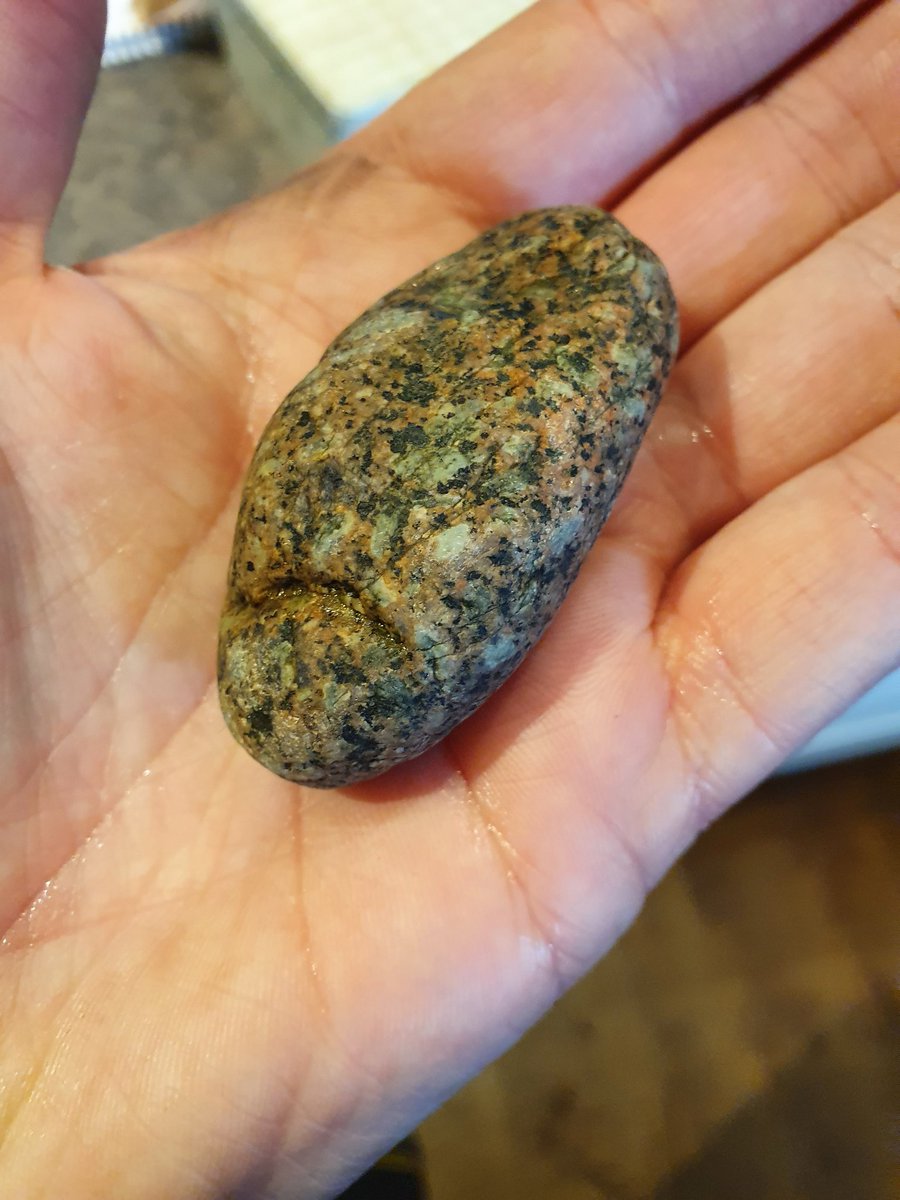 sf_cottages's tweet photo. @jurassicguides what do you think? Am I holding dino poop? https://t.co/DpaWWe0TNL