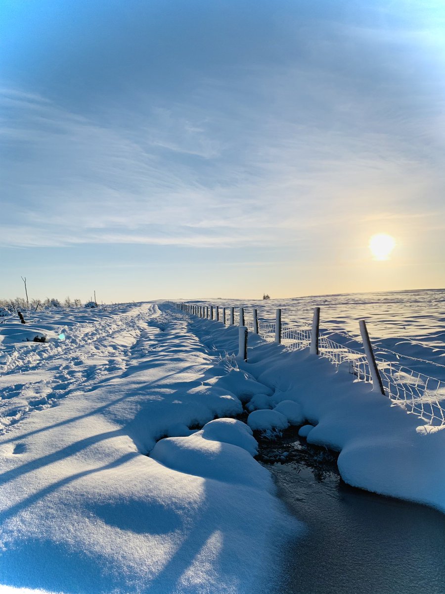 GemmaCoops's tweet photo. Walking in a winter wonderland. ❄️ https://t.co/nm4ucLvqhM