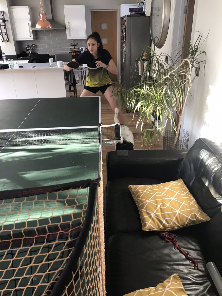 Karlmarriott5's tweet photo. TT table back up, @Amymarriott13 training hard with a little help from Reggie. @performancette @ryanjenkins_tt @ChrissyT100 @topspintt https://t.co/YAWEjS2RPW