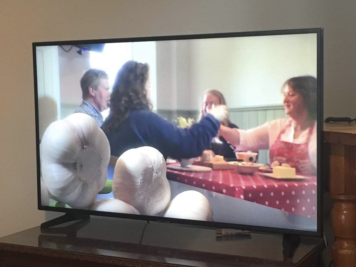 reallygarlicky's tweet photo. What a blast from the past! Our @HairyBikers Best of British episode has re-run on BBC2 this afternoon. Thank you to everyone for your lovely messages. What a great way to start the year! https://t.co/GwSxpDvG2g https://t.co/RHmZtLKm3n