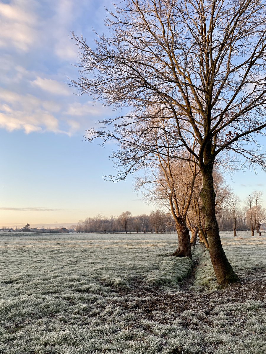 python_pictures's tweet image. #vrtweer 09:00u / Aalter / -2 graden ❄️☀️