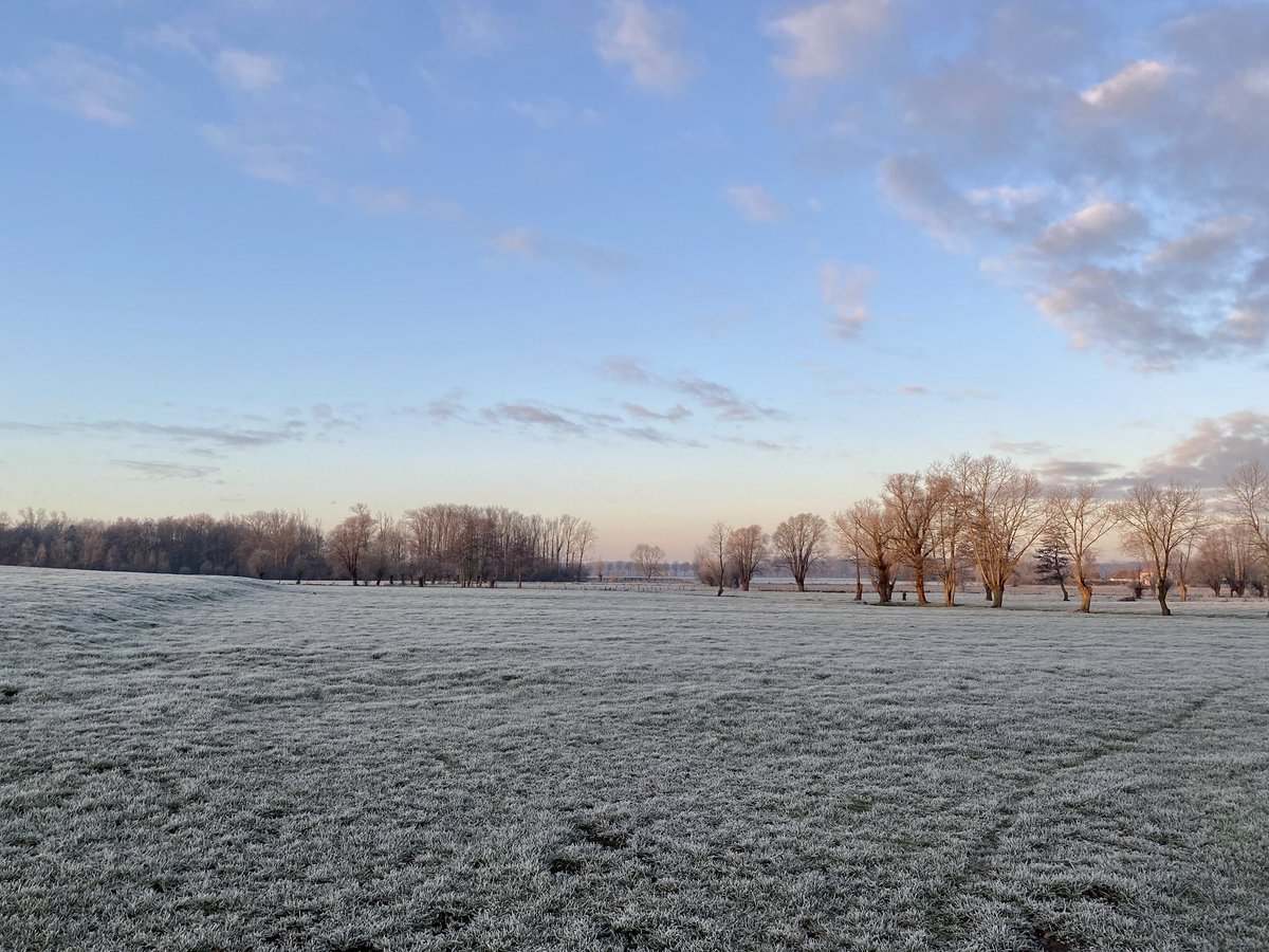 python_pictures's tweet image. #vrtweer 09:00u / Aalter / -2 graden ❄️☀️