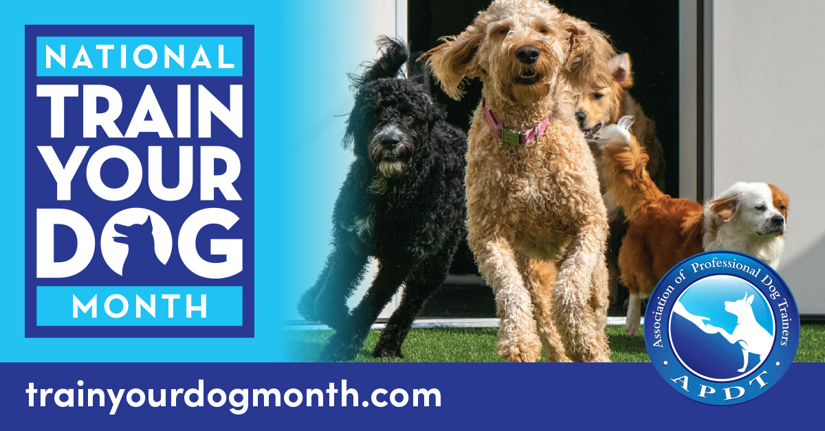 Aida (AidaHorns2Halos) Twitter