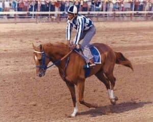 Today I learned Mr. Charlie Davis was the exercise rider for Secretariat.He was born on Feb. 2, 1940, in Orangeburg, S.C.Incase you didn’t know, American horse racing, especially the Kentucky derby, was once dominated by Black men.
