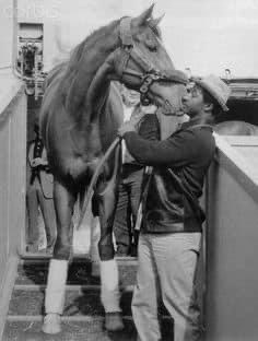 Today I learned Mr. Charlie Davis was the exercise rider for Secretariat.He was born on Feb. 2, 1940, in Orangeburg, S.C.Incase you didn’t know, American horse racing, especially the Kentucky derby, was once dominated by Black men.