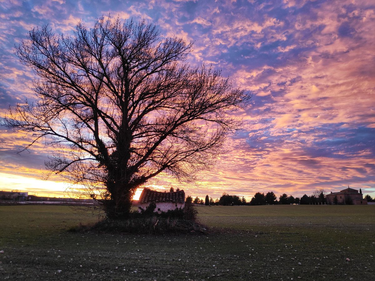 Buenas noches, Castilla.