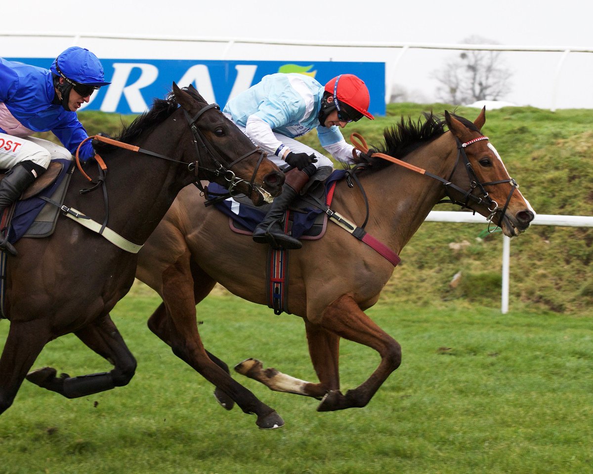 Congratulations to client @martinkeighley7 as Witness Protection held on gamely to win at Chepstow 🥇🍾 #ClientWinner #CotswoldForage