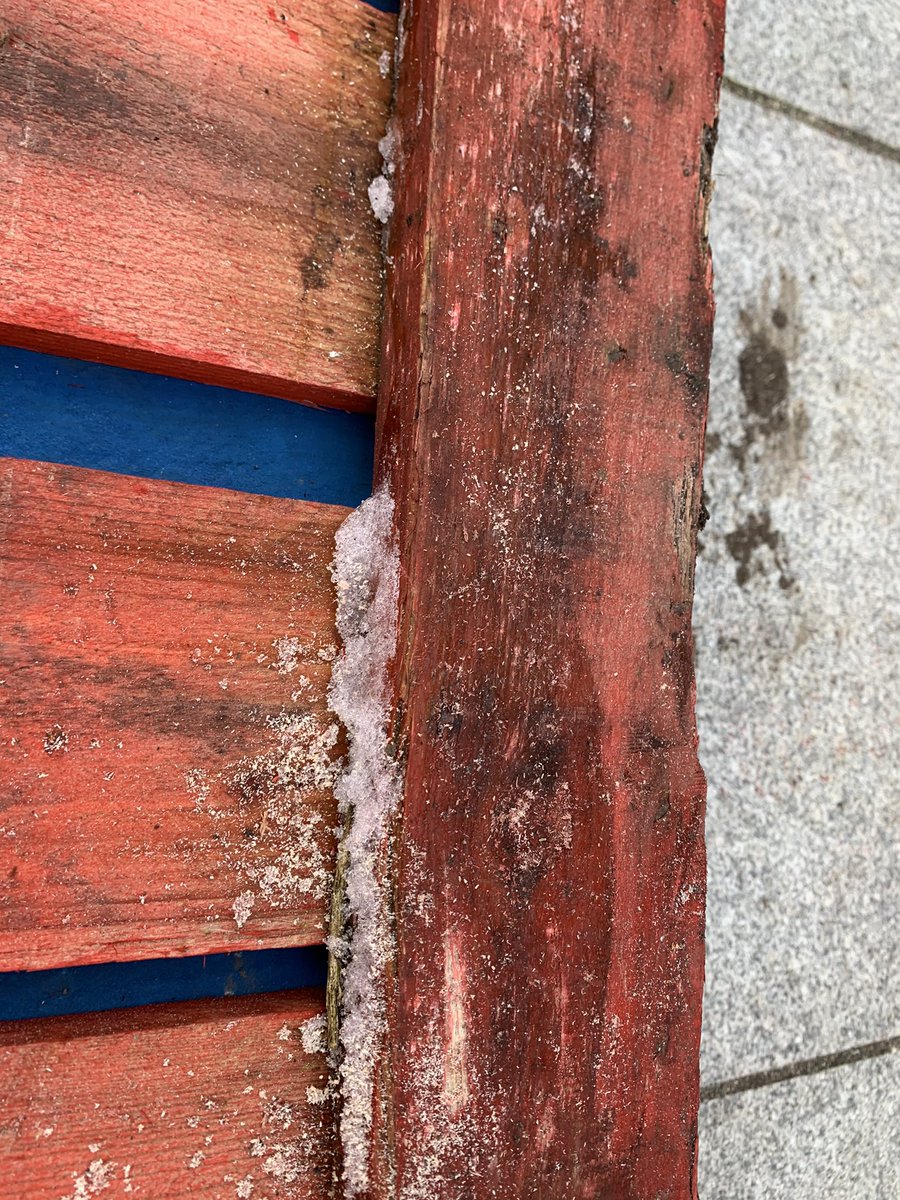 It was cold. You can see the ice on the wood in the last pic here..