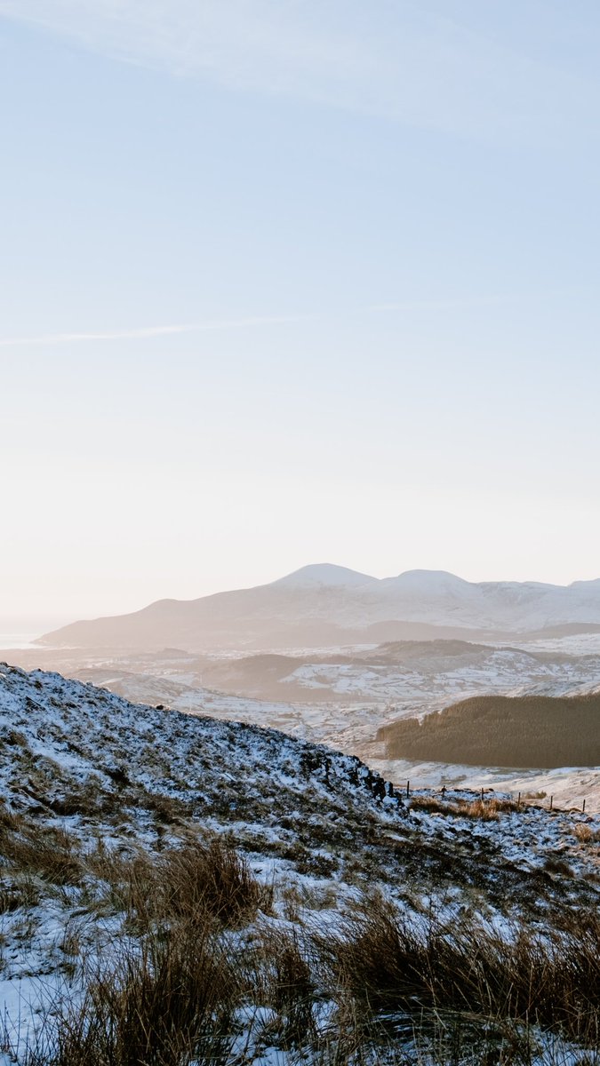 andreoloa's tweet image. This set me in a good mood this morning